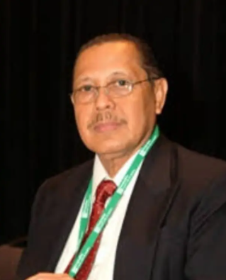 ombudsman muda indonesia